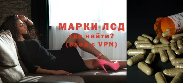 гидропоника Бородино
