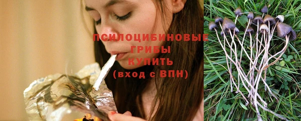гидропоника Бородино