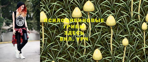 тгк Богородицк