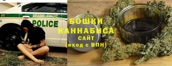 гидропоника Бородино