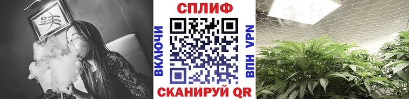 МАРИХУАНА THC 21%  Верхняя Тура 